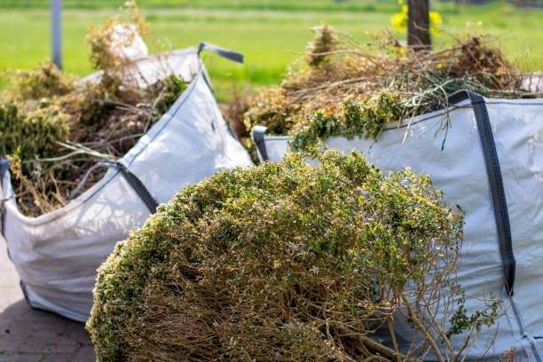 Best Basement Cleanout Services  in Columbus, NE
